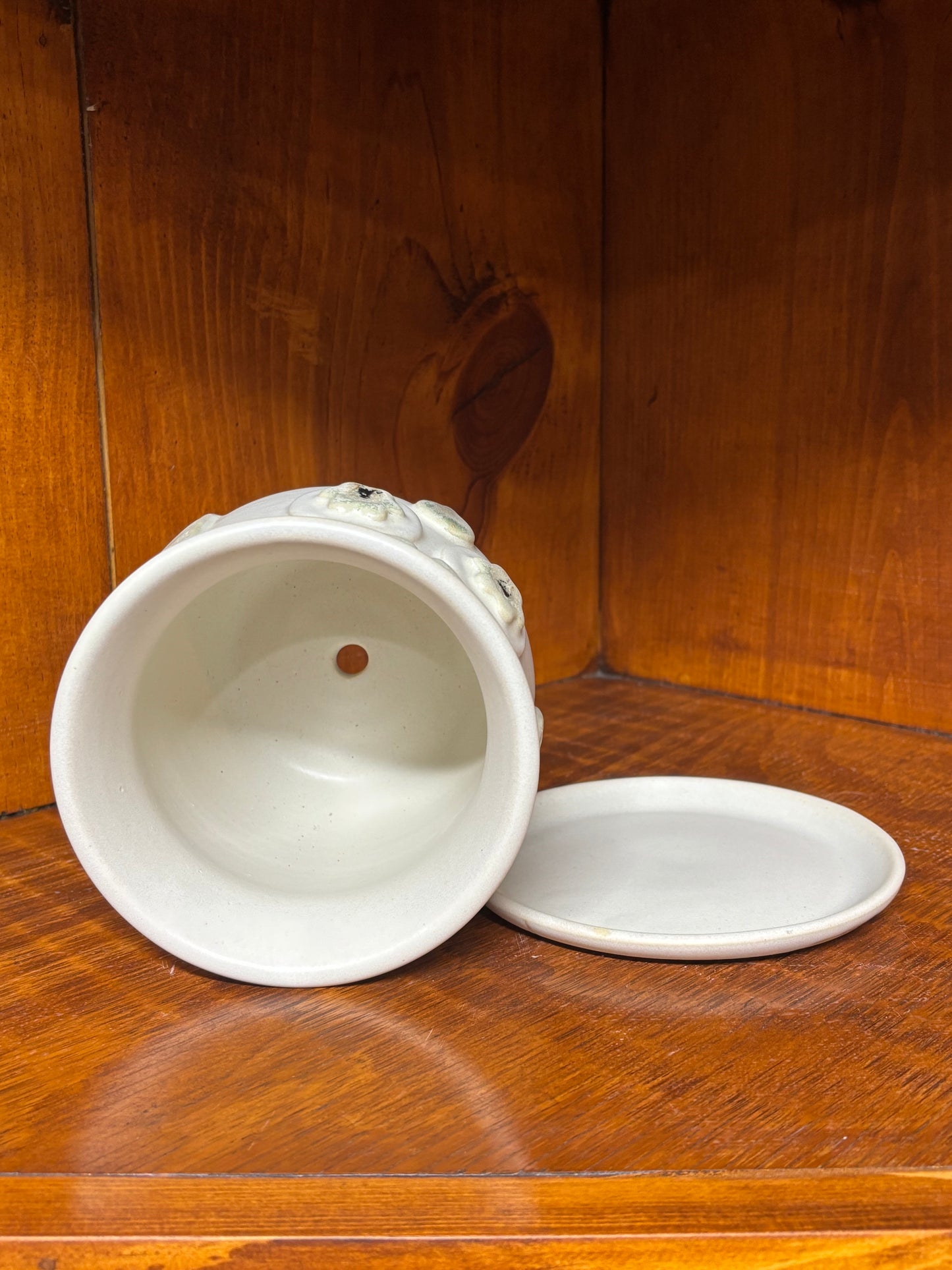 Owl Succulent/Flower pot