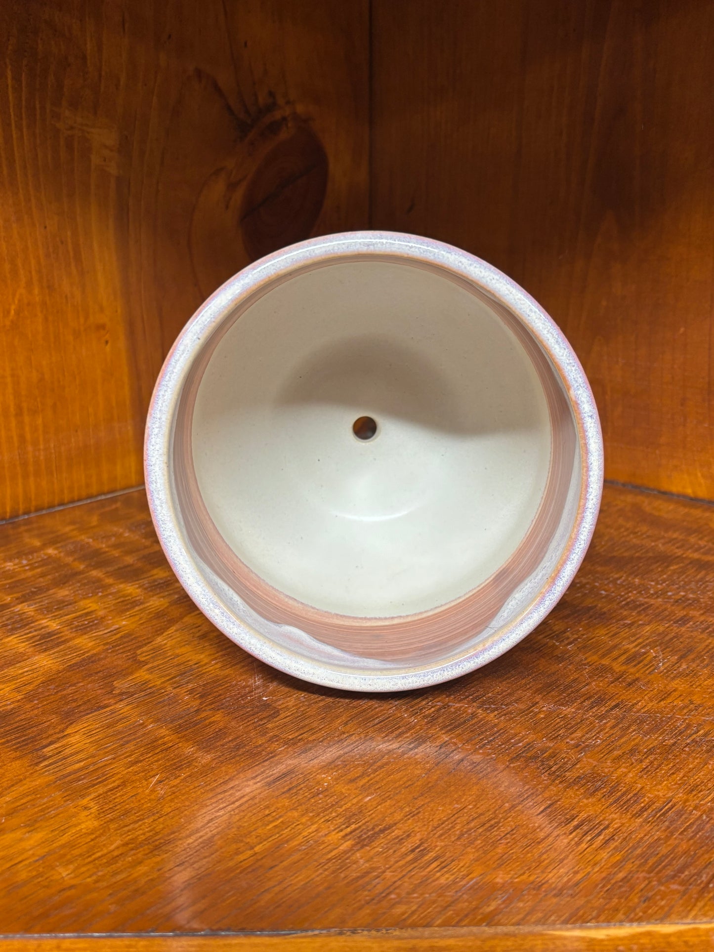 Succulent/Flower Pot