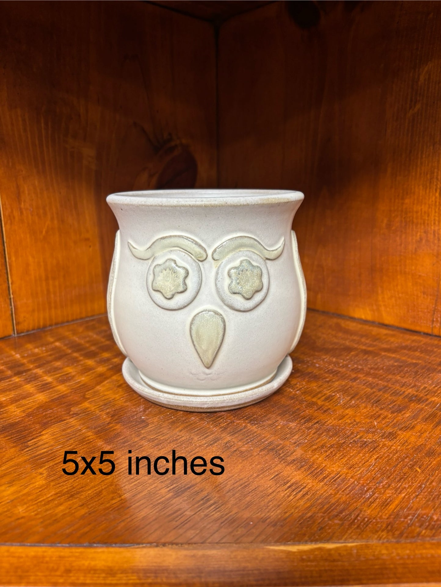 Owl Succulent/flower pot