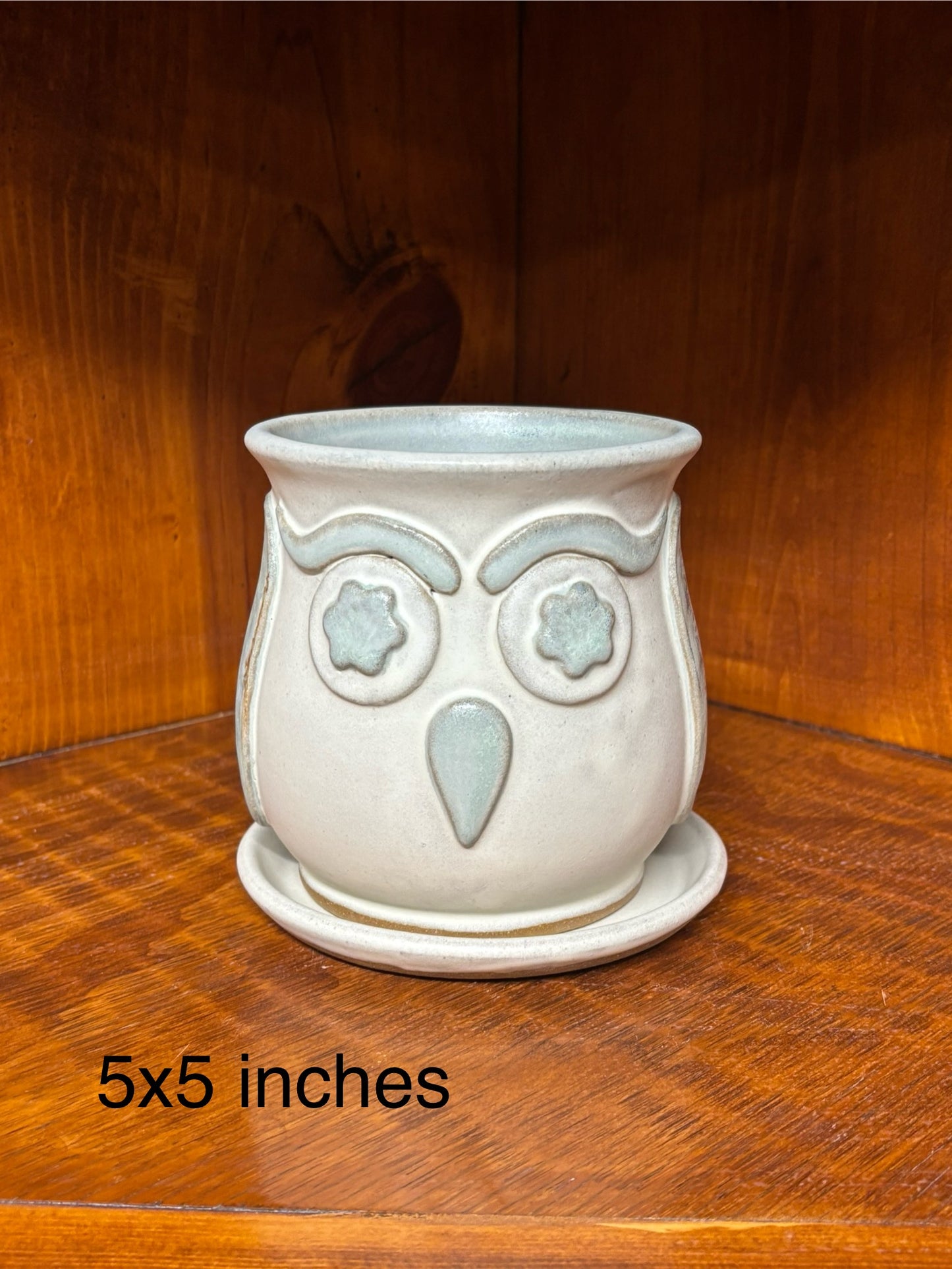 Owl Succulent/Flower pot