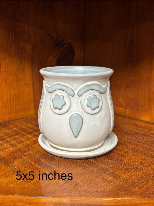 Owl Succulent/Flower pot
