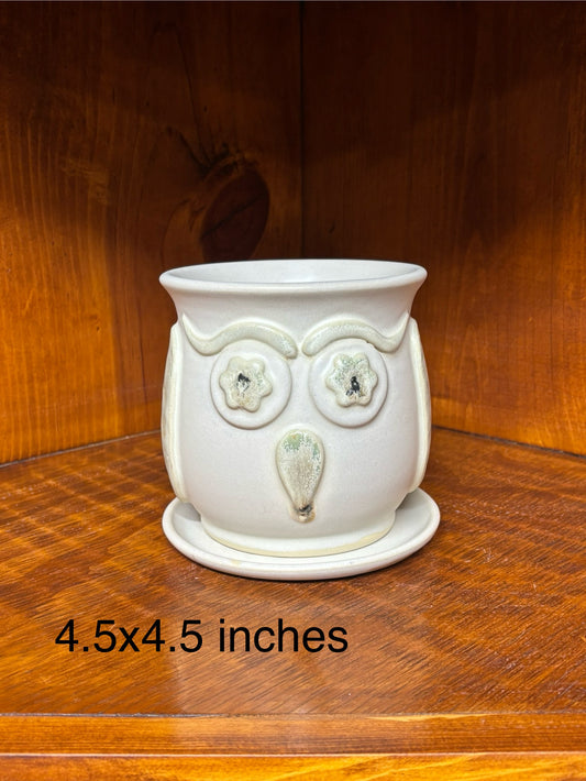 Owl Succulent/Flower pot