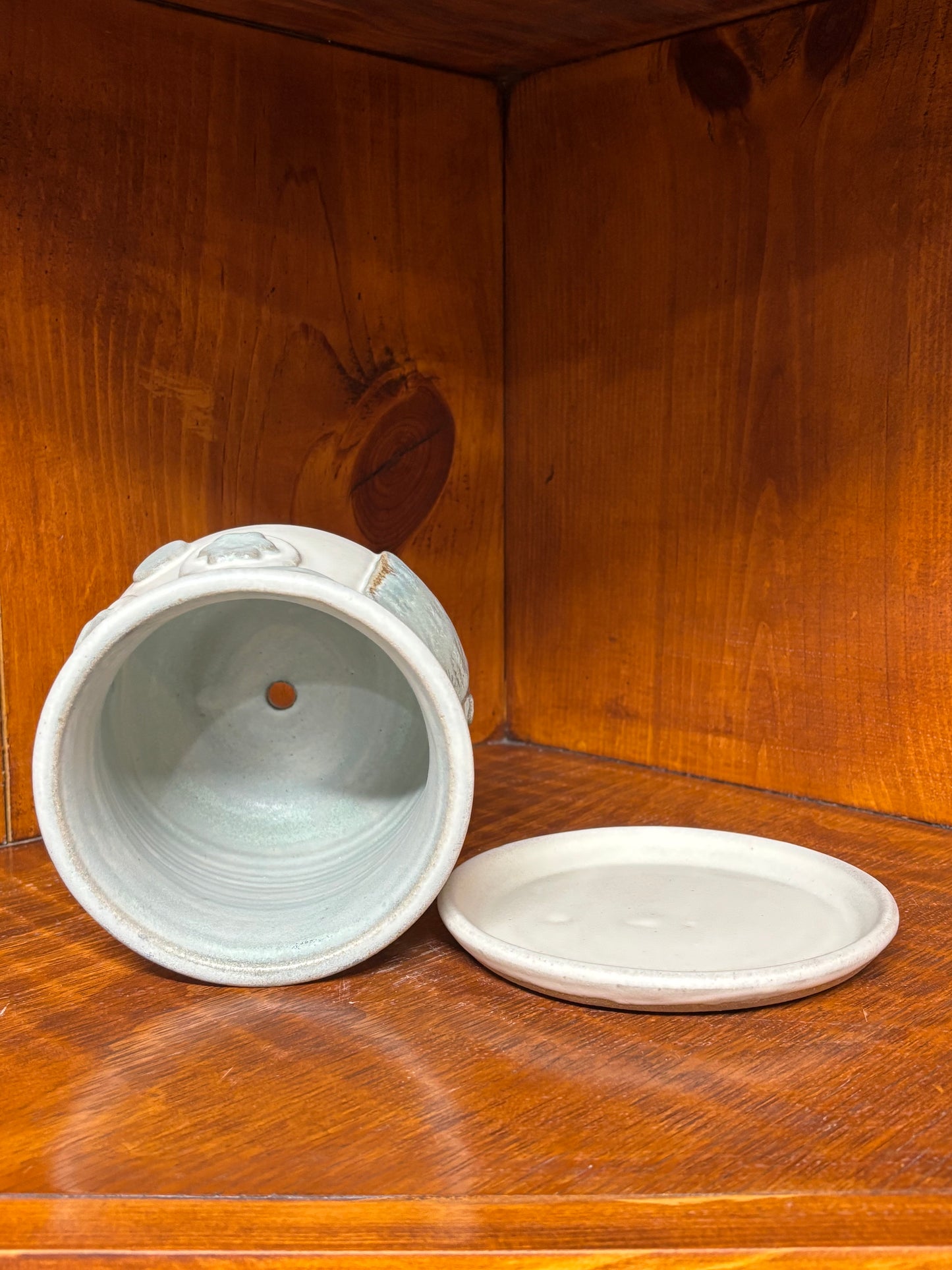 Owl Succulent/Flower pot