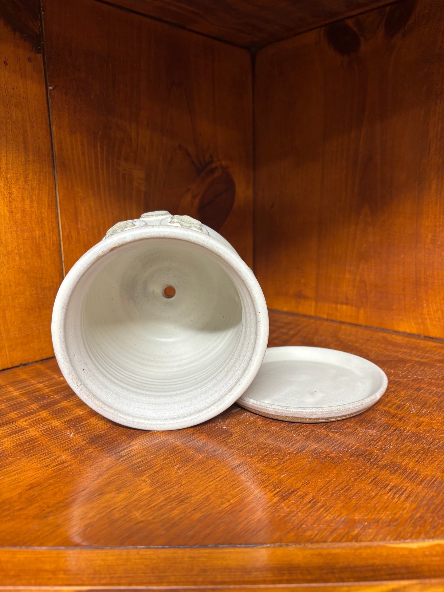 Owl Succulent/flower pot