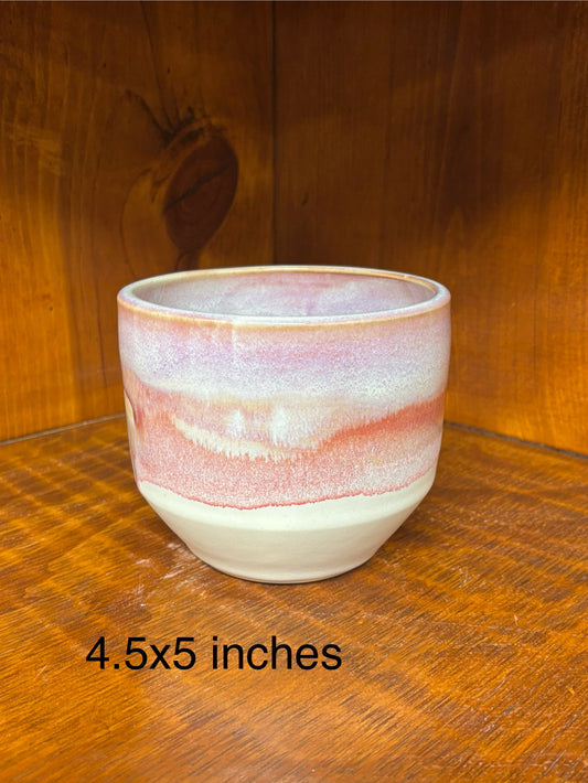 Succulent/Flower Pot